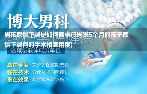 男孩尿谈下裂是如何回事(5周岁5个月的孩子尿谈下裂何时手术相宜用度)