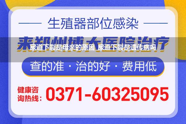 尿道下裂是母亲的原因_尿道下裂是遗传病吗